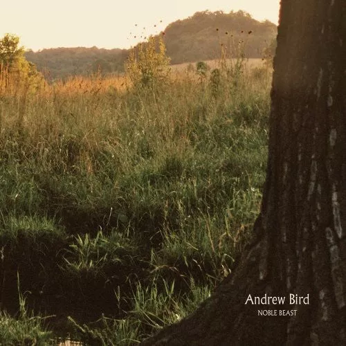 andrew-bird-noble-beast-2xlp ANDREW BIRD - NOBLE BEAST (2xLP)