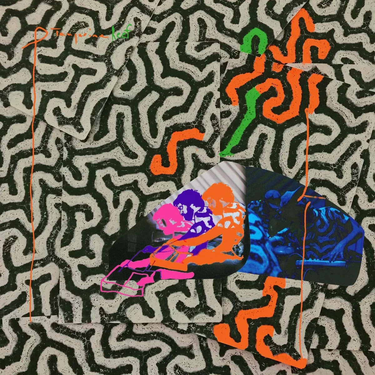 animal-collective-tangerine-reef-2lp-new Animal Collective - Tangerine Reef 2LP NEW