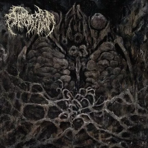 apparition-feel-lp-new Apparition - Feel LP NEW