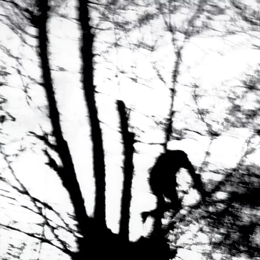 Cindytalk - Camouflage Heart (Blk) [LP]