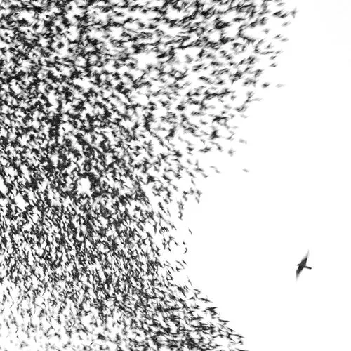 wilco-sky-blue-sky-2xlp WILCO - SKY BLUE SKY (2xLP)
