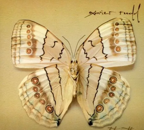 Xavier Rudd - White Moth [CD]