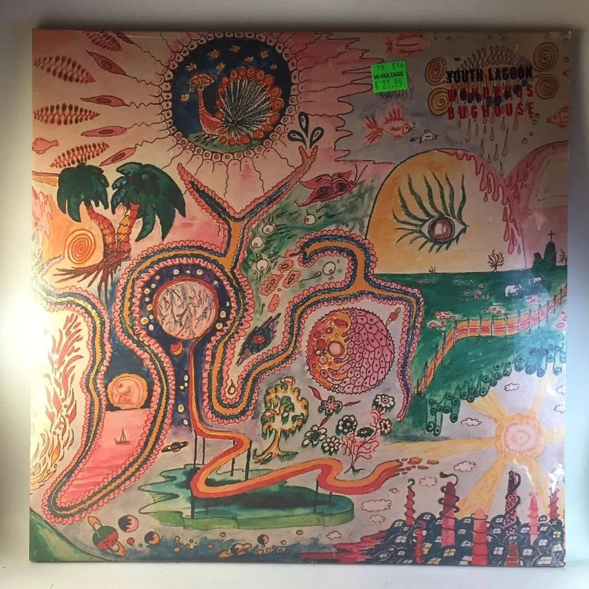 youth-lagoon-wondrous-bughouse-2lp-new Youth Lagoon - Wondrous Bughouse 2LP NEW